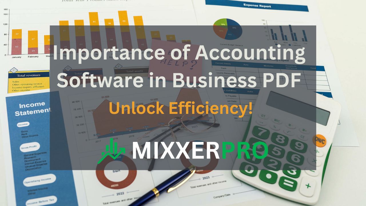 Read more about the article Unlock Efficiency! Importance of Accounting Software in Business PDF Unlock Efficiency!