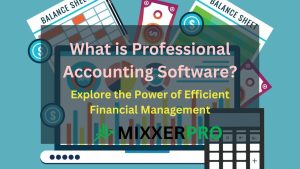 Read more about the article What is Professional Accounting Software? Explore the Power of Accounting Software